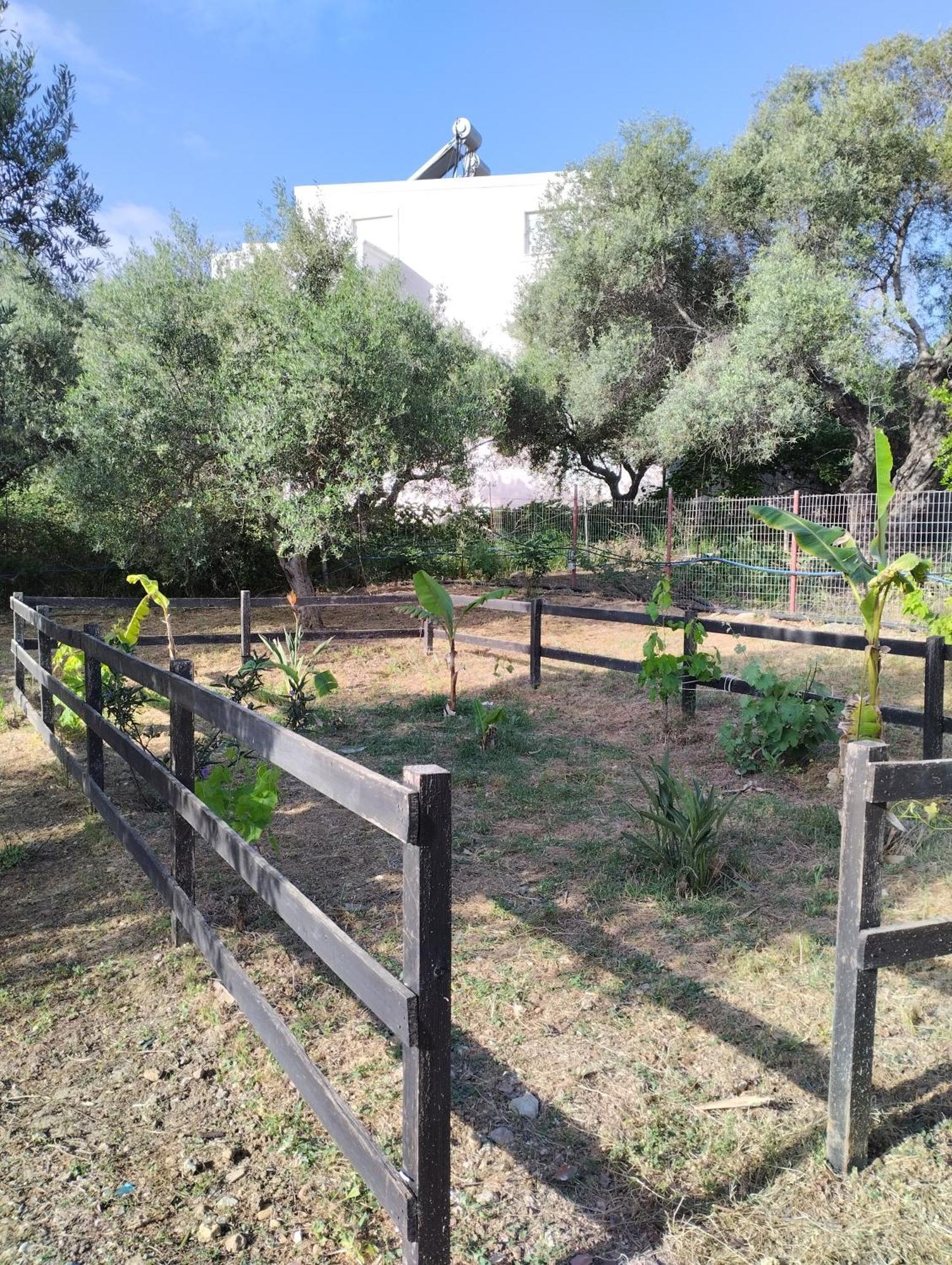 Olea Cottage Galatás Exterior foto
